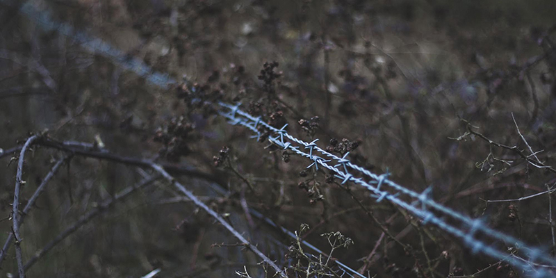 architecture competitions, desk design, observation center, top of the rock, observation decks, observation deck, top of the rock, observation deck, climate change