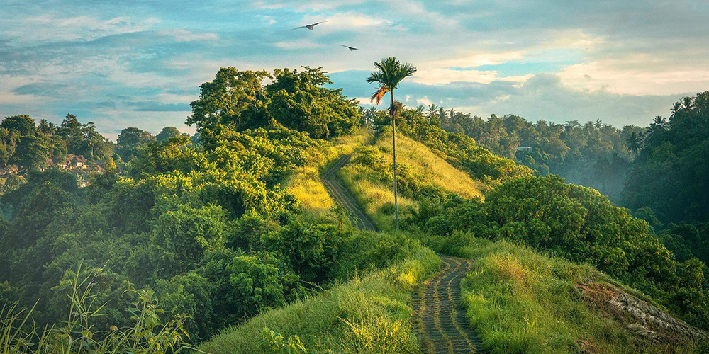 the villa, seaside villa, country estate, the villa, seaside villa, country estate, architecture, design a villa, villa architecture competition, architecture competitions, kerala