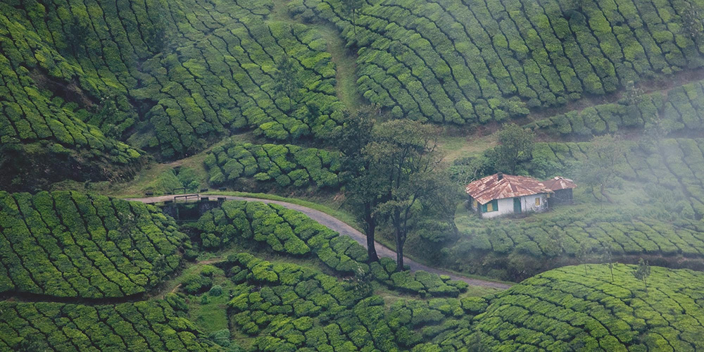 the villa, design process, design thinking, architecture and design, villas, villa design, luxury villas