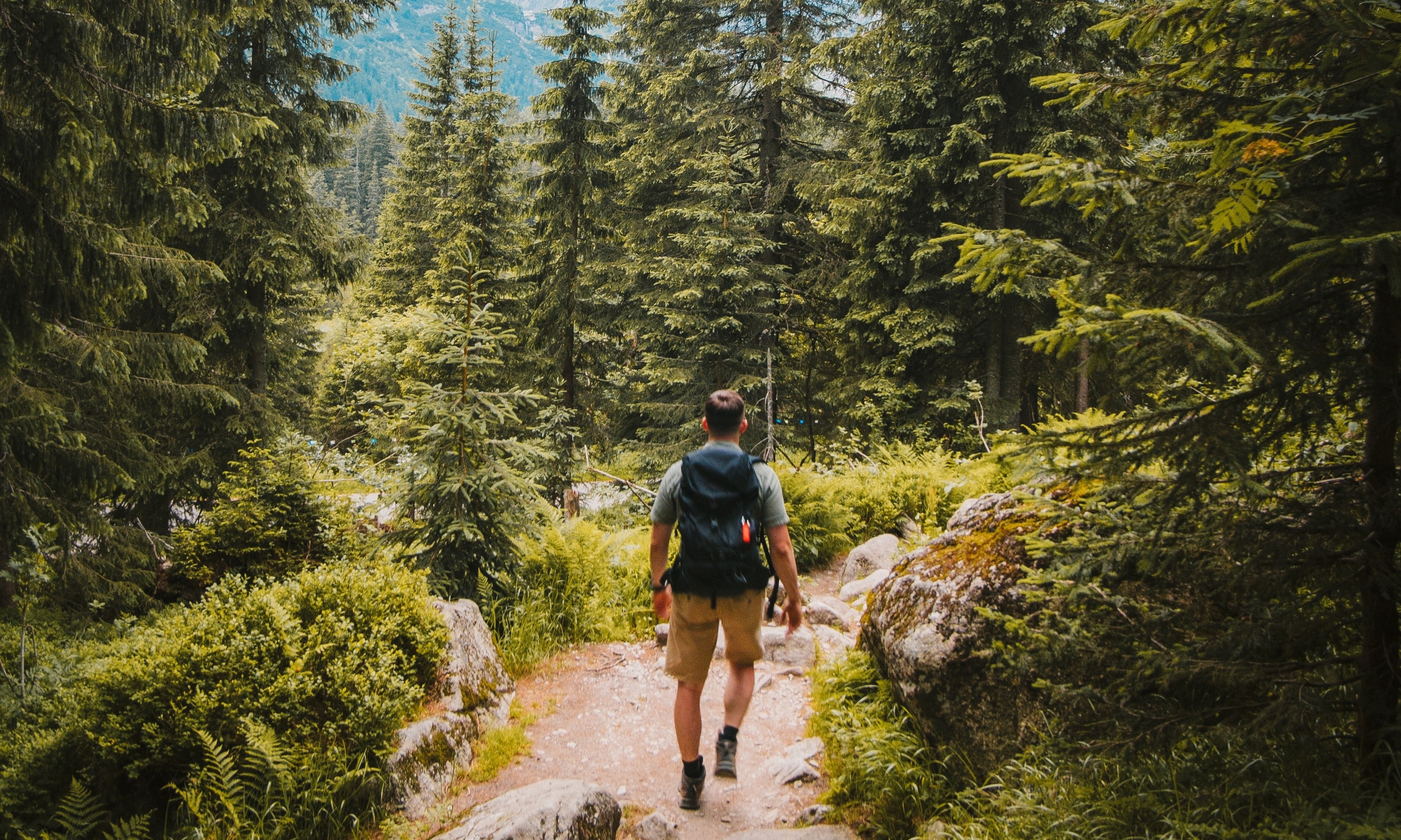 photo competition, fine art, photography contest, world photography organisation, photography contest, entry fee, photographer of the year, entry fee, photo contest, sony world photography awardshoto contest 