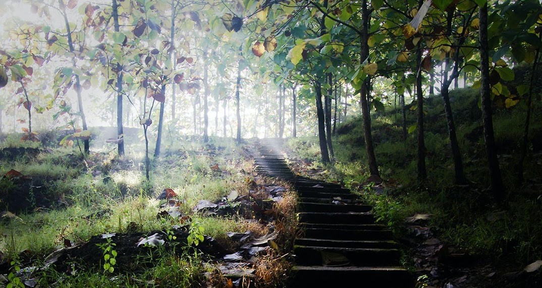 Pearls of Green, Landscape architecture, garden design competition, Meigakure, UNI