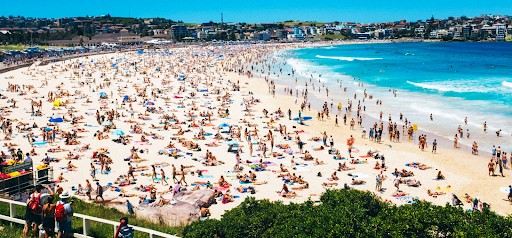 Eco-sensitive pier architecture design competition