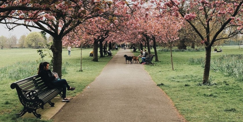 Park furniture to be designed in refreshing and innovative ways