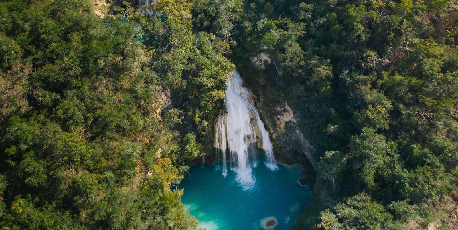 Amazon rainforest is under threat of deterioration due to deforestation