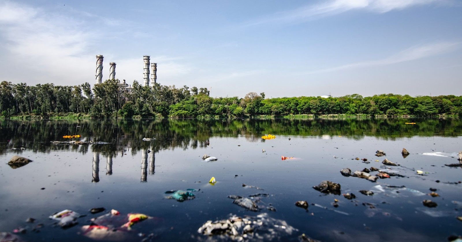 Lack of sustainable housing and expansion causing waste and pollution in the Amazon rainforest