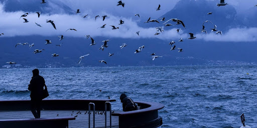 non profit organization