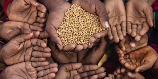 strategic environmental research