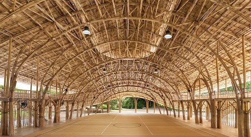 several bamboo species, Bamboo, as a building material, has high compressive strength despite being light-weight and is suitable to be an eco-friendly, bamboo shoot, bamboo shoot