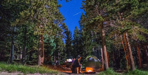  public art, environmental architecture, public art installations, installation, urban design competitions, biomimicry competitions, public installations, public art, art installations