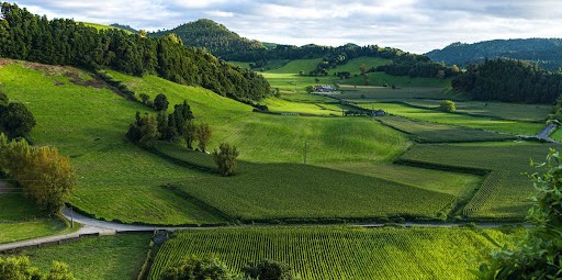 Agriculture is the most primitive occupation practised by humans