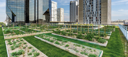 Urban farming in cities is practised by huge corporations on building rooftops. 