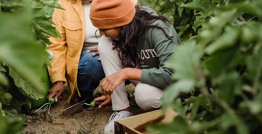 Farming techniques are traditional and this knowledge is to be passed on, assisted with modern equipment.