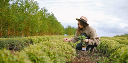 farmers markets local farmer same time single day farmers markets local farmer same time single day farmers markets local farmer same time single day farmers markets local farmer same time single day farmers markets local farmer same time single day farmers markets local farmer same time single day farmers markets local farmer same time single day farmers markets local farmer same time single day 