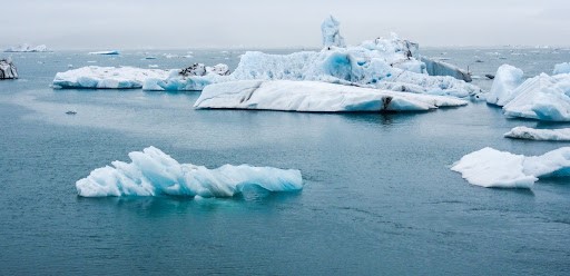 children friends island dining hope families beach oahu word parents fish music cousins november schools site location access sign lunch evening japan serve guests plant note visit member related property concept page contact friend stitch february featured meaning march bound age enjoy blood define sold users 