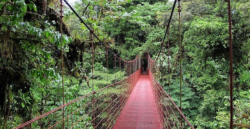 development development development design design design design design design design design design design design design design design design design design design design design design design design design life life life life life life  construction structure city structures building tower towers architect project wind architecture world location residential architects installation  materials life designed advantageous build designs provide heights strong lack topics provided strength som larger learn similar expensive steps  variety section addition order water select end included result recommended meetsmeant selected work widens love stating greater charge source book follow thoughts includes homes years rights questions day read results parts needed times use