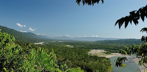Manu National Park, Peru, Tourism, Biodiversity  cabin roof project walls structure wood architecture retreat created ground architects house landscape building cottage features create outdoors structures owner bedroom inspiration island bathroom porch accommodate houses fireplace glass exterior modern materials 