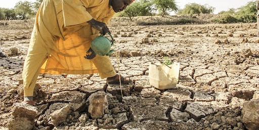 Farming lands becoming barren due to drought, Illustration, Graphic Design, Design Competition