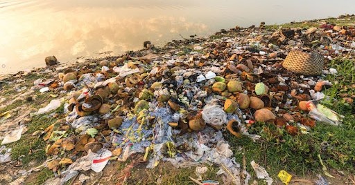 Hunger Crisis, Food, Waste, Economic Inequality, Coin, Globe