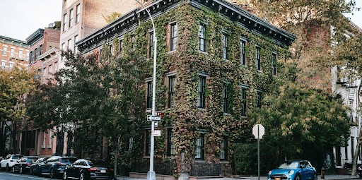 Artificial, Sustainable, Green, Environment, Degradation, Living