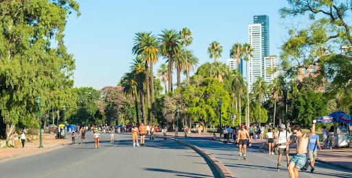 Biophilia, Landscape design, design nature and woodlands, flora and fauna, architectural competition, cities, well-being