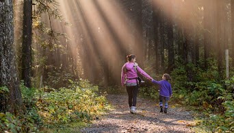 Nature trial, nature observation, design for nature, observation tower, flora and fauna, biophilia