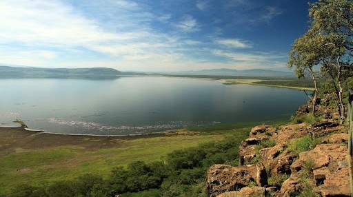 Lake Nakuru, National park, greenery, architecture competition, Kenya, nature observation tower, Wildlife Tourism Kenya