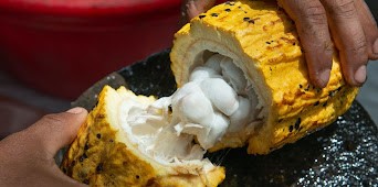 The increase in demand for chocolate globally has blurred the origins and value for produce