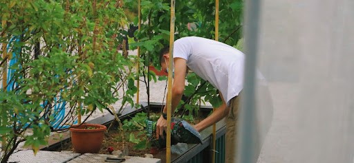 Farming opportunities, design to induce farming, architectural competition, urban farming, food security