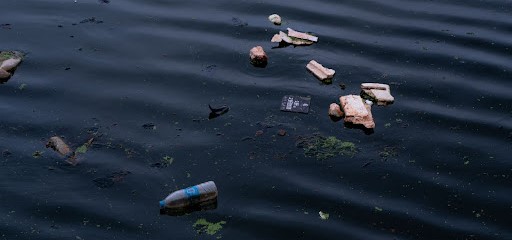 Water resources, depletion of resources, marine architecture, architecture competition, marine institutes