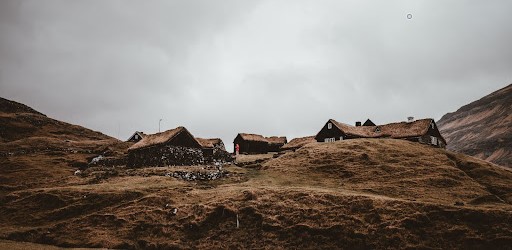 Environment, Artificial, Usage, Blend, Camouflage, Sensitize