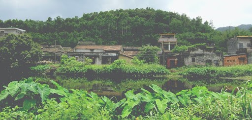 Biomimicry, Natural environment, Materials, Context, Sustainable