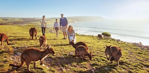 Public, Collaboration, Data, Awareness, Australia