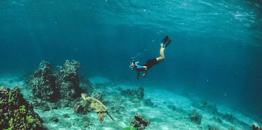 Scuba diving for marine exploration, Mexico, Architecture Competition