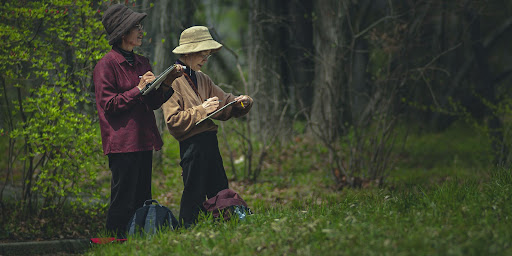  Elderly people, Community, Nature, Engage, Attention, Landscapes
