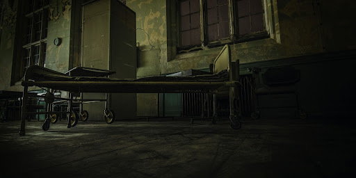 Asylum, Treatment, Recovery, Mental health, Healing, Essay competition