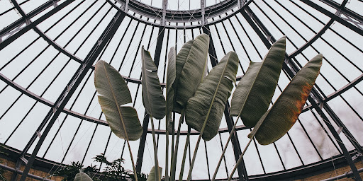 Adaptability, Psychological, Interior design, Nature, Therapy