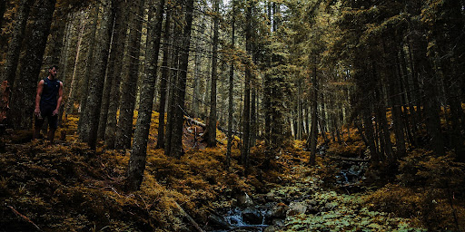 connection, future, reality, architecture, degradation, sustainability, awareness