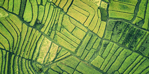 natural resources, perception, utopia, society, imagination, green future, environmentally, friendly