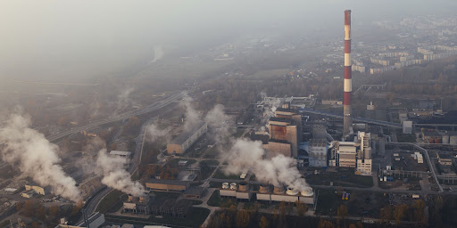 climate disasters, urbanisation, architecture, resilient, adaptive, survival
