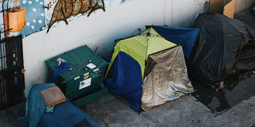 urbanisation, shelter, refuge, protection, healthcare services, livelihood