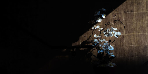 lighting design competition, light fixtures, lighting fixtures, lighting fixture, lighting fixture design, lighting designers, lighting specialist, light source, nature lighting design, innovative solutions, lighting solutions,