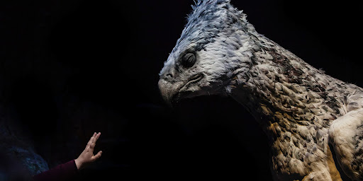 human imagination, zoo design competition, visualize a zoo, greek myths, greek animals, newt scamander, harry potter, greek gods, architecture competitions