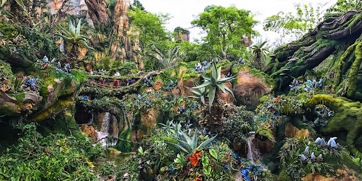 zoo design, visual artist, visualization firms, visualization competitions, visual design, visual designers