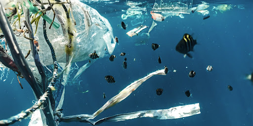 sustainable materials, sustainable design, environmental crisis, climate change, plastic, sustainable architecture, decay and decomposition, earth, architecture competition, public building, urban design, urban planning