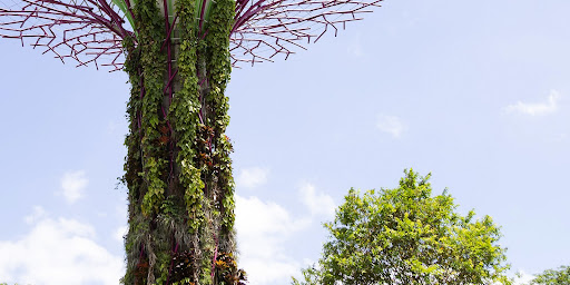gardens at the bay, singapore, public installation design, public competitions, architecture challenge, public installation challenge, sustainable materials, design processes, sustainable technologies, environmental crisis, climate change