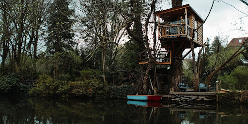 landscape, tree houses, tree, children, arboreal, dwell, design process, biophillic, architects, tourist, housing, nature, retreats, nature, hospitality, architecture competitions, dwelling, immersive, experiences, imagination, envision trees, house, nature, architecture, challenge 2021 treehouse  2021 treehouse  2021 treehouse  2021 treehouse  2021 treehouse  2021 treehouse 2021 treehouse 2021 treehouse  2021 treehouse