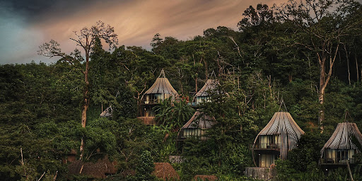 cottage, house, home, tree, cabin, architecture nature, childhood, adulthood close menu new window washington state 2021 treehouse close menu new window washington state 2021 treehouse close menu new window washington state 2021 treehouse close menu new window washington state 2021 treehouse close menu new window washington state 2021 treehouse 2021 treehouse 2021 treehouse