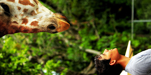 education information facility, impact, community, active conservation, tourists