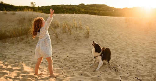 photography capture photographers happiness capture camera photo photos