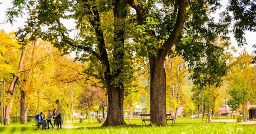 green areas microclimate sustainable design park design neighbourhoods design of nighebourhoods microclimate 
community gardening investment biopihila public function water system biodiversity
